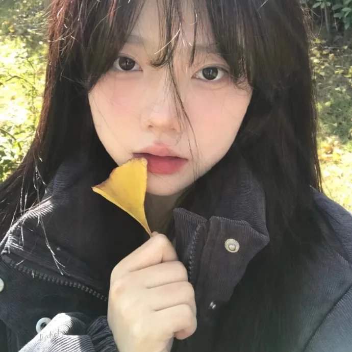 美女公寓